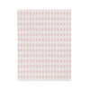 Pink Salt Plush Blanket